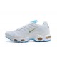 Air Max Plus Tn Mens White Blue Shoes