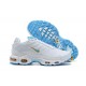 Air Max Plus Tn Mens White Blue Shoes